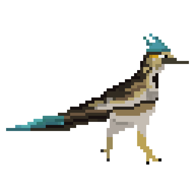 Click to watch video